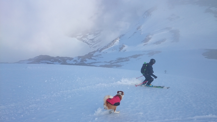 Skiing and running down