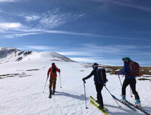 Affric Magic – Strawberry cottage at its best